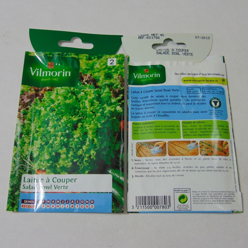 Exemple de spécimen de Laitue à couper Salad Bowl verte - Vilmorin Graines tel que livré