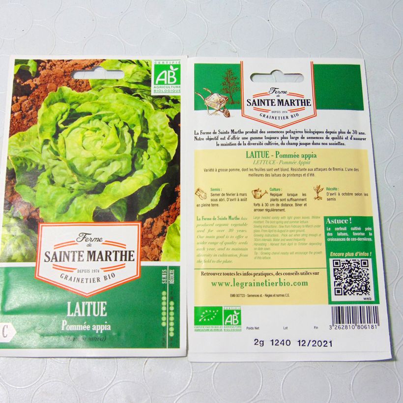 Exemple de spécimen de Laitue pommée Appia Bio - Ferme de Sainte Marthe Graines tel que livré