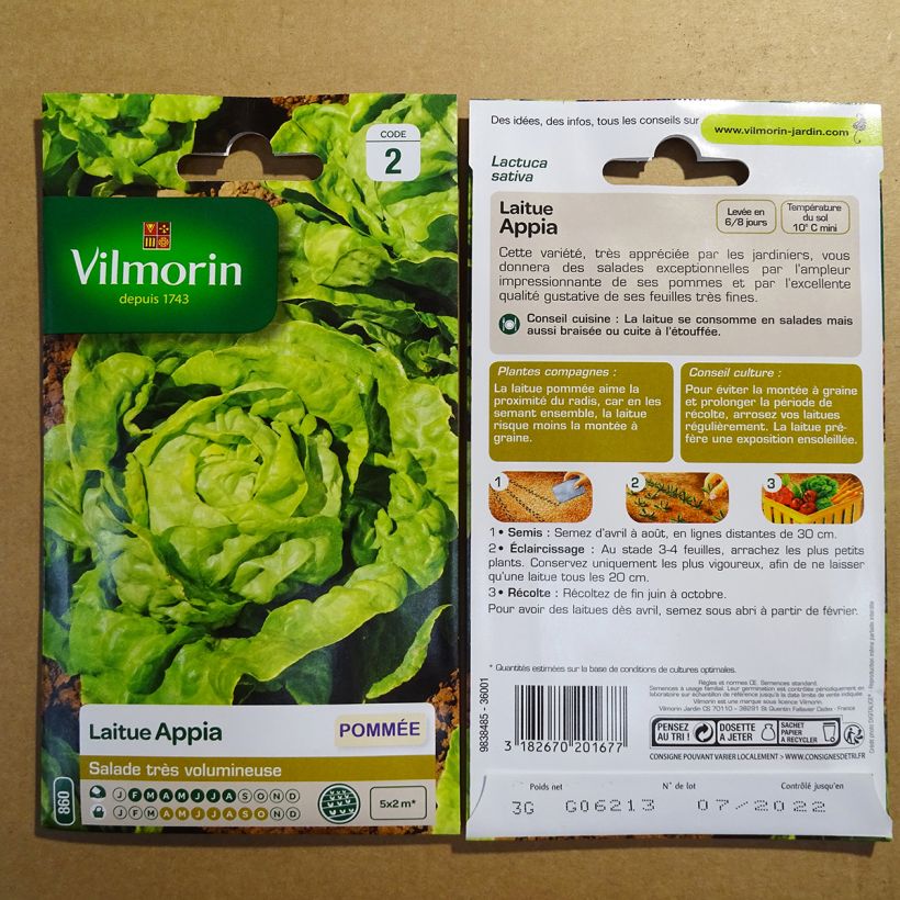 Exemple de spécimen de Laitue pommée Appia - Vilmorin Graines tel que livré