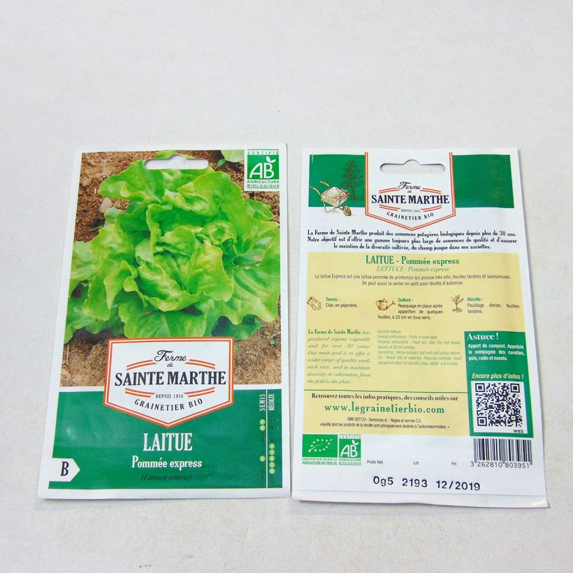Exemple de spécimen de Laitue pommée Express Bio - Ferme de Sainthe Marthe Graines tel que livré