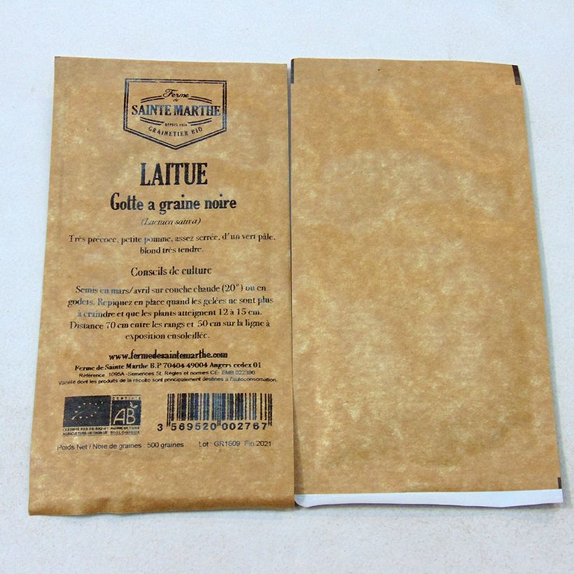 Exemple de spécimen de Laitue pommée Gotte à Graine Noire Bio - Ferme de Sainte Marthe Graines tel que livré