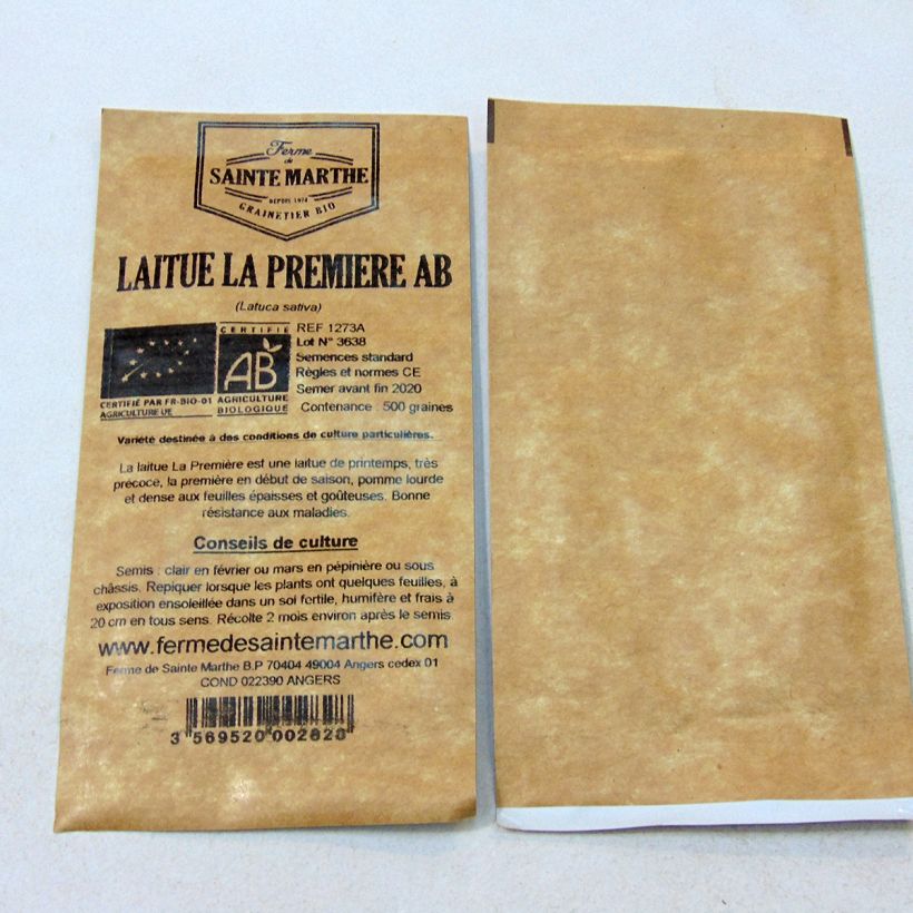 Exemple de spécimen de Laitue pommée La Première Bio - Ferme de Sainte Marthe Graines tel que livré