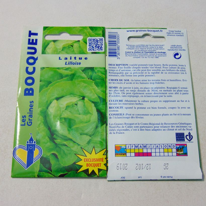 Exemple de spécimen de Laitue pommée Lilloise - Lactuca sativa  Graines tel que livré