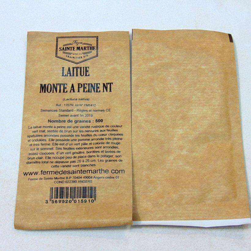 Exemple de spécimen de Laitue pommée Monte à Peine NT - Ferme de Sainte Marthe le sachet de 500 graines tel que livré