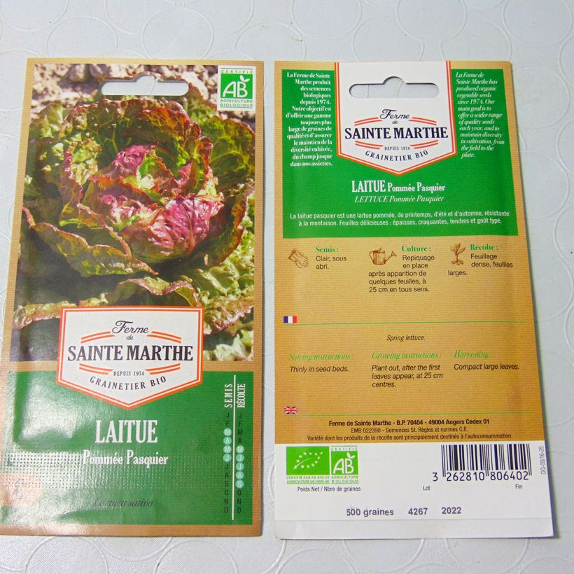Exemple de spécimen de Laitue pommée Pasquier Bio - Ferme de Sainte Marthe tel que livré