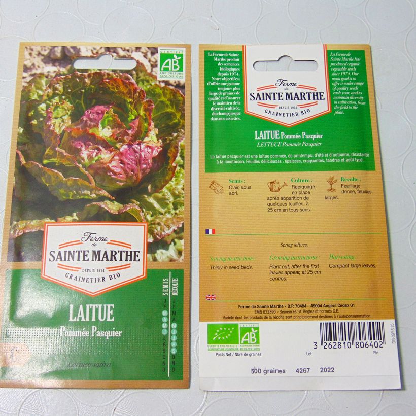 Exemple de spécimen de Laitue pommée Pasquier Bio - Ferme de Sainte Marthe Graines tel que livré
