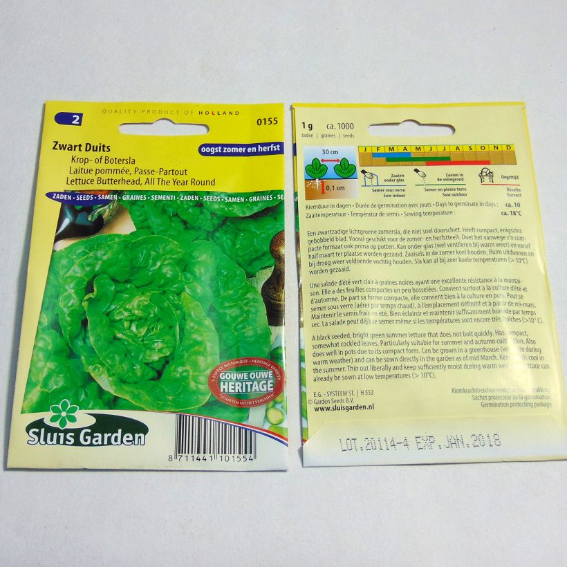 Exemple de spécimen de Laitue pommée Passe-Partout - Lactuca sativa le sachet de 1000 graines (1g) tel que livré