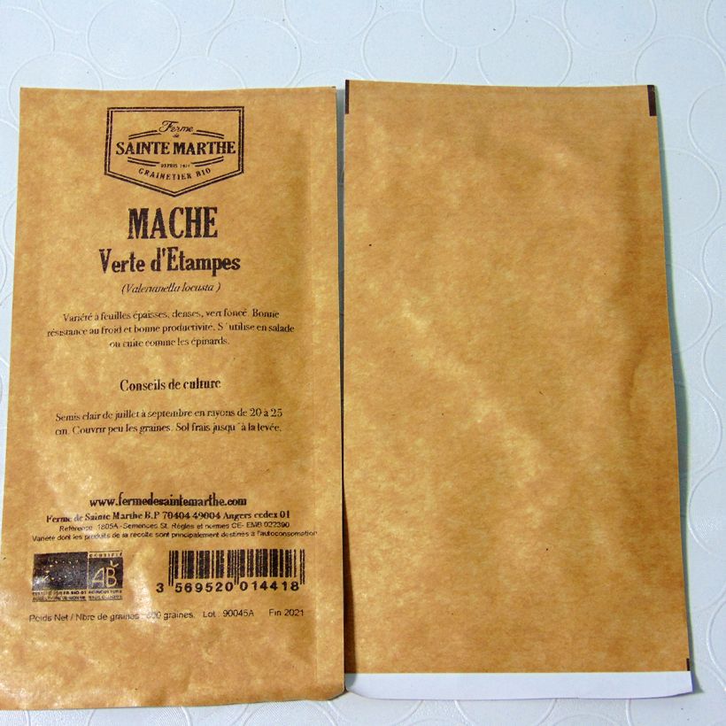 Exemple de spécimen de Mâche Verte d'Etampes Bio - Ferme de Sainte Marthe Graines tel que livré