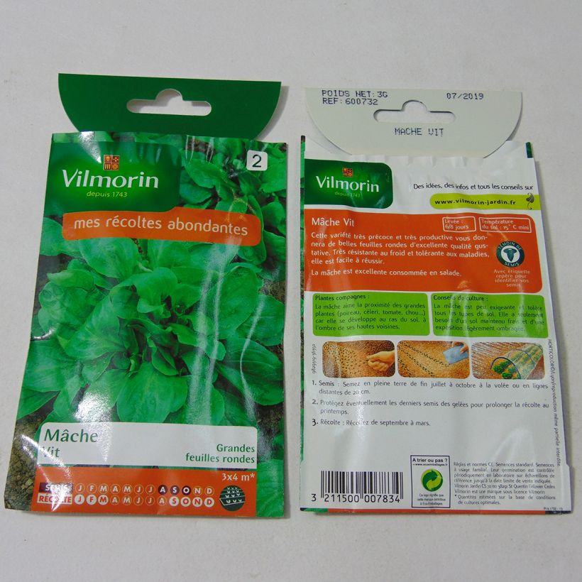 Exemple de spécimen de Mâche à petite graine Vit - Vilmorin Graines tel que livré