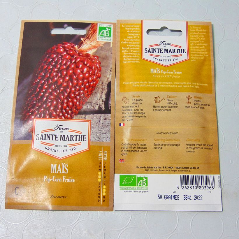 Exemple de spécimen de Maïs Fraise Pop Corn Bio - Ferme de Sainte Marthe Graines tel que livré