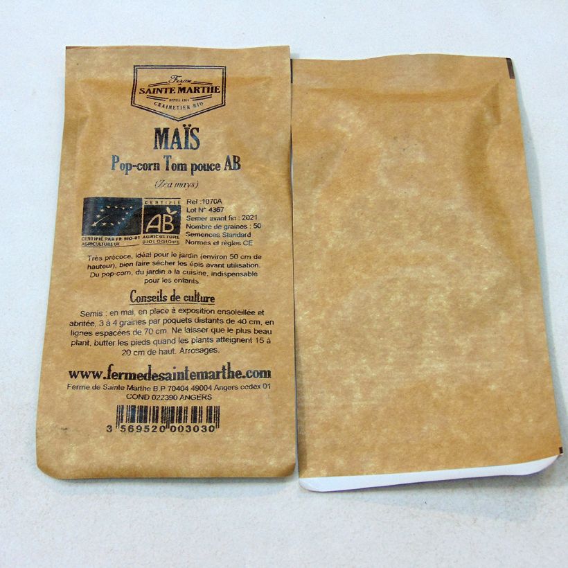 Exemple de spécimen de Maïs Pop-corn Tom Pouce Bio - Ferme de Sainte Marthe Graines tel que livré