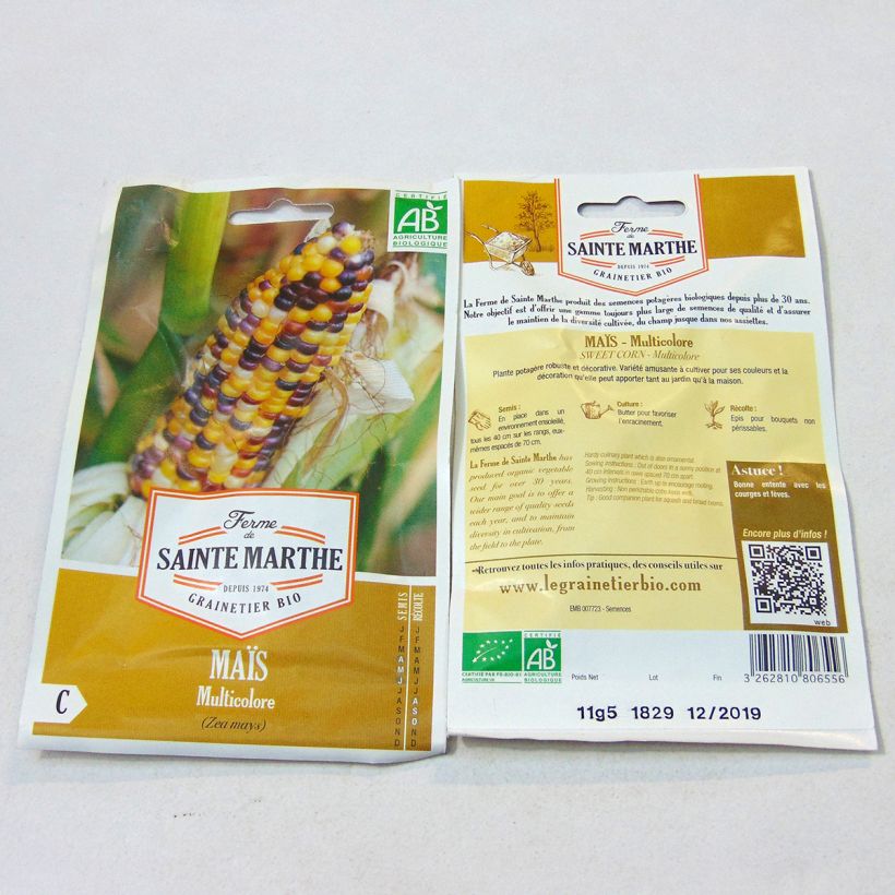 Exemple de spécimen de Maïs multicolore Bio - Ferme de Sainte Marthe Graines tel que livré