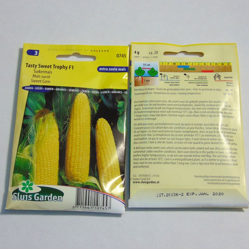 Exemple de spécimen de Maïs sucré Tasty Sweet Trophy F1 - Zea Mays Graines tel que livré