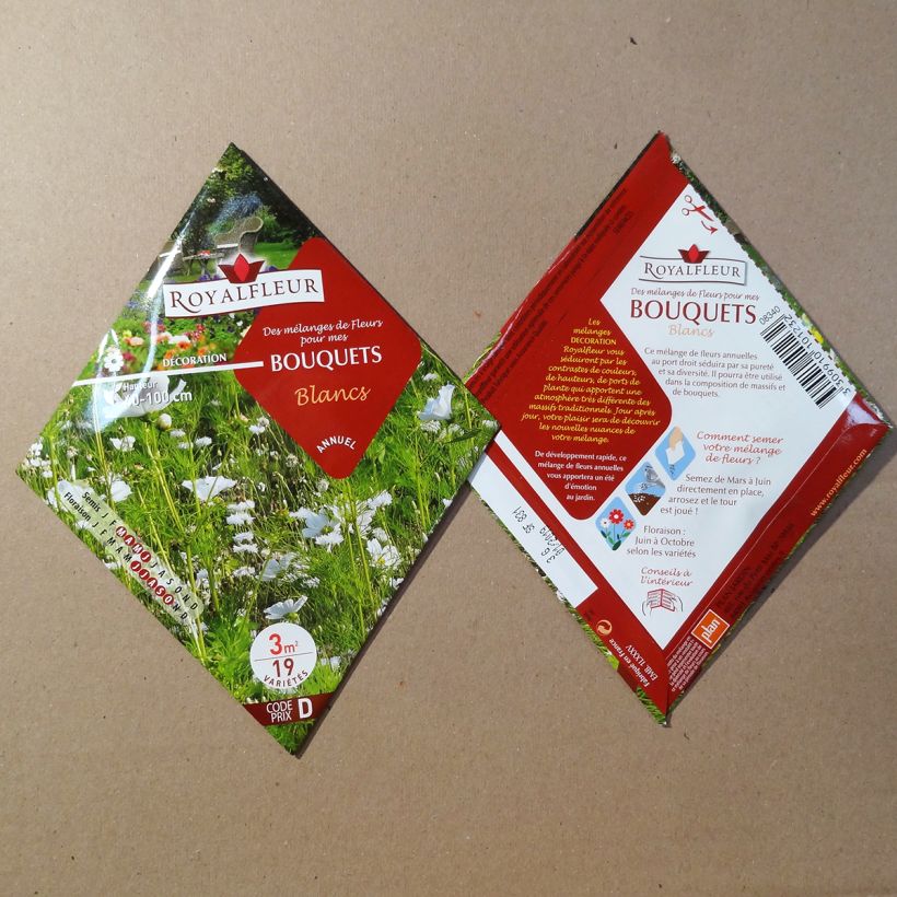 Exemple de spécimen de Mélange de fleurs pour bouquets blancs à semer - Sachet 3 m2 Graines tel que livré