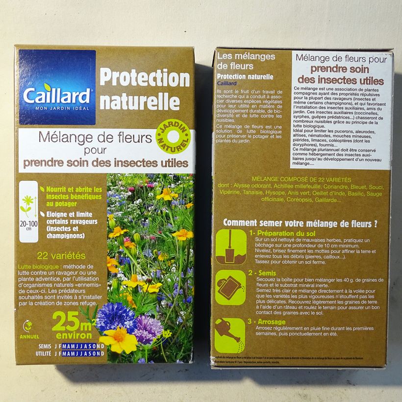 Exemple de spécimen de Mélange de fleurs pour prendre soin des auxiliaires Graines tel que livré