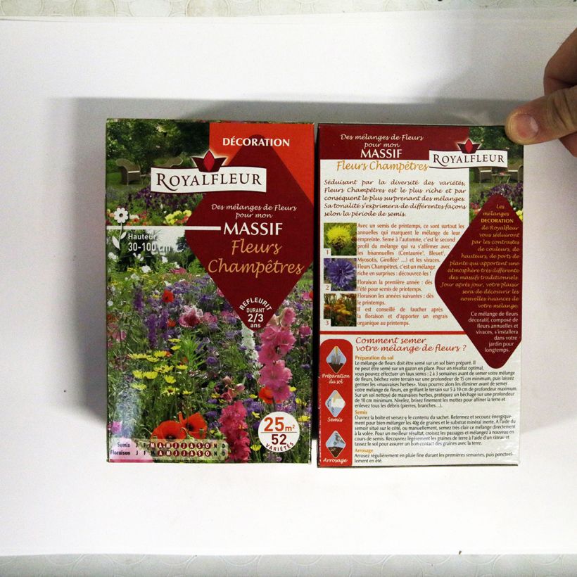 Exemple de spécimen de Mélange pour massif Fleurs Champêtres - Boite 25 m2 Graines tel que livré