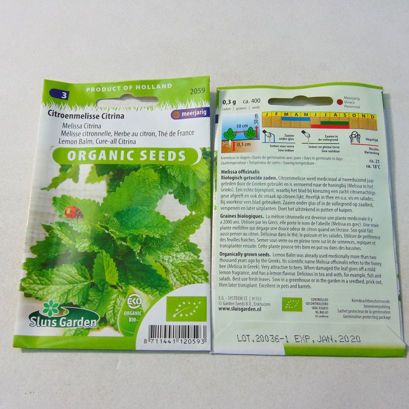 Exemple de spécimen de Mélisse citronnelle Bio Graines Graines tel que livré