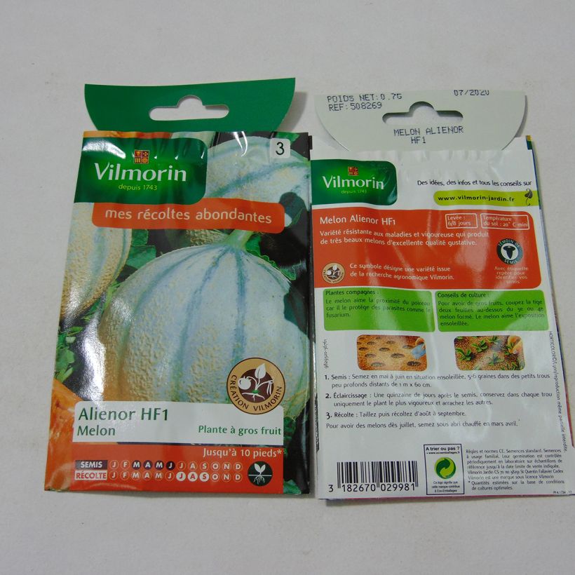 Exemple de spécimen de Melon Aliénor F1 (Création Vilmorin) - Vilmorin tel que livré