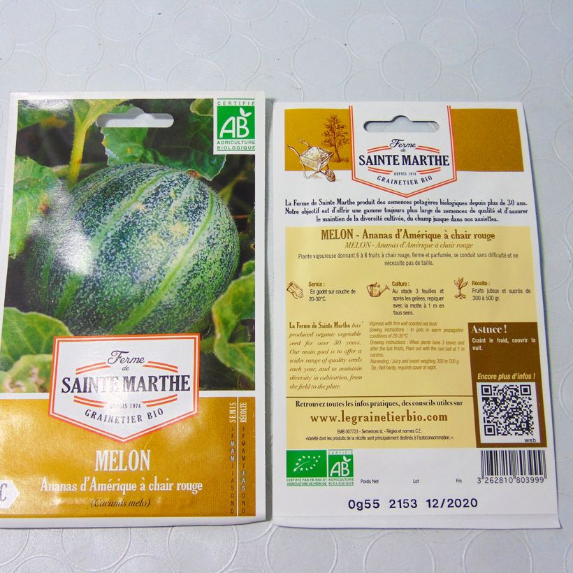 Exemple de spécimen de Melon Ananas d'Amérique à Chair Rouge Bio - Ferme de Sainte Marthe Graines tel que livré