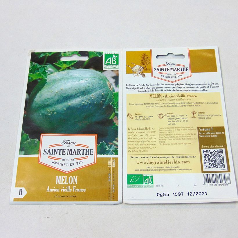 Exemple de spécimen de Melon Ancien Vieille France Bio - Ferme de Sainte Marthe Graines tel que livré