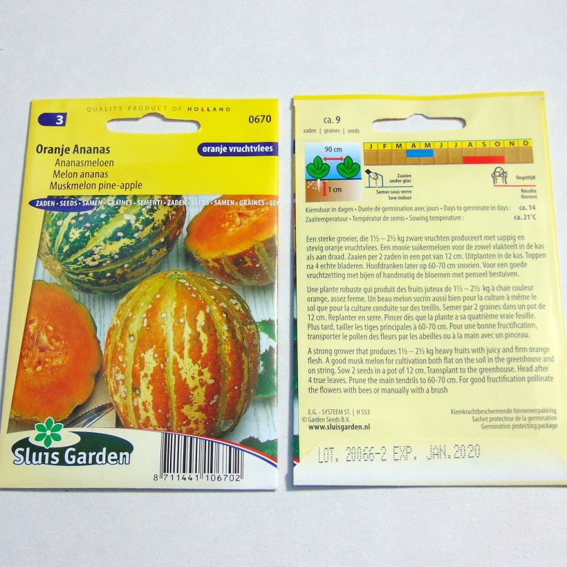 Exemple de spécimen de Melon Orange Ananas Graines tel que livré