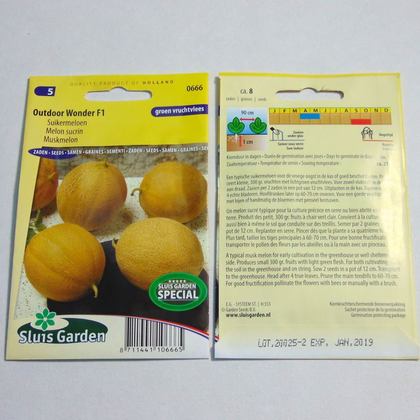 Exemple de spécimen de Melon Outdoor Wonder F1 Graines tel que livré
