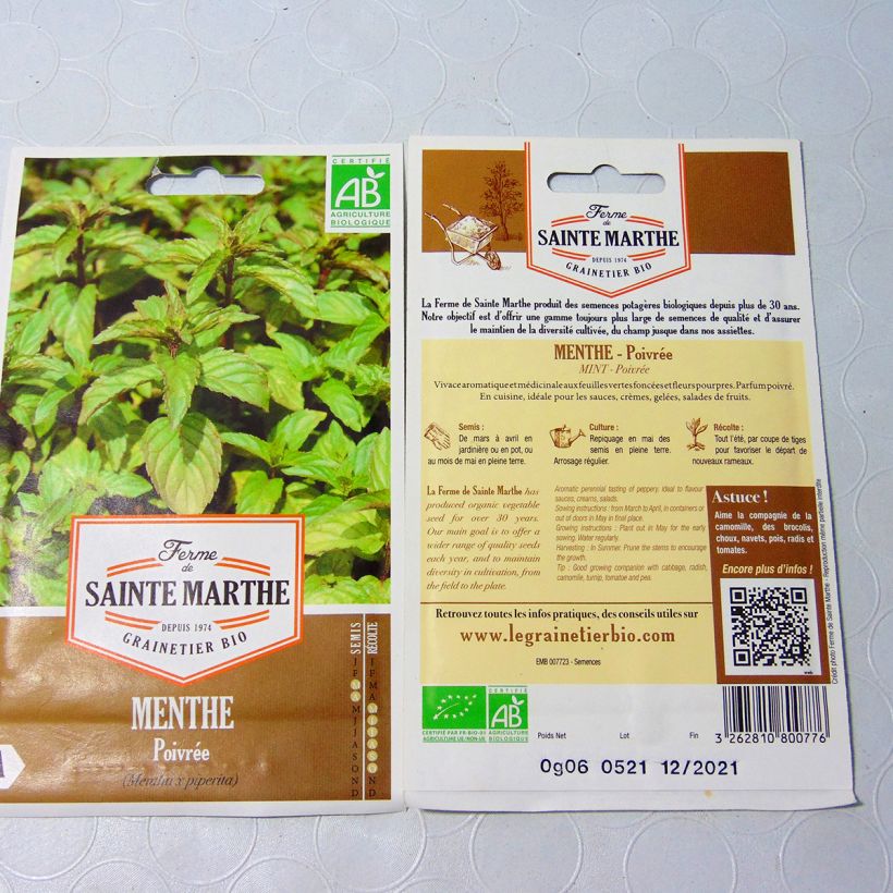 Exemple de spécimen de Menthe poivrée Bio - Ferme de Sainte Marthe Graines tel que livré