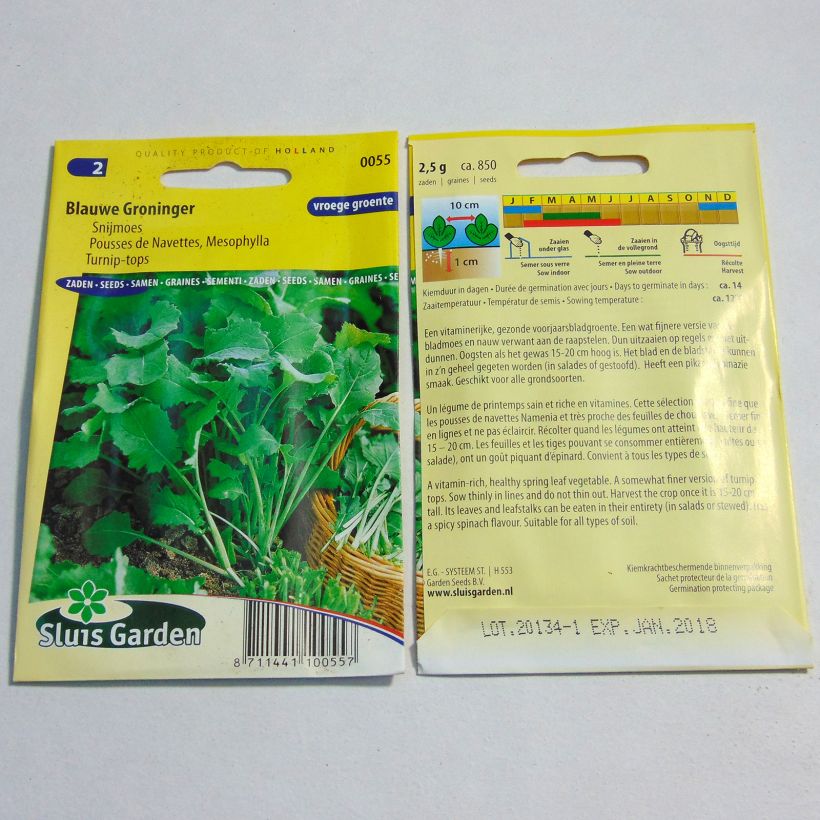 Exemple de spécimen de Mesophylla Blauwe Groninger le sachet de 850 graines (2g) tel que livré
