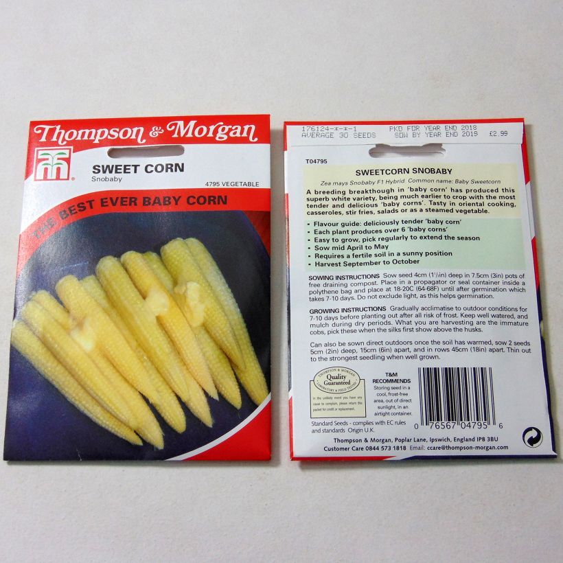 Exemple de spécimen de Mini maïs doux sucré Snobaby - Zea mays Graines tel que livré
