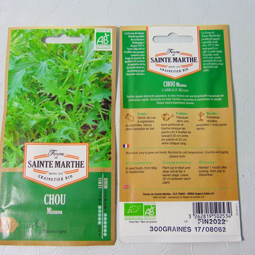 Exemple de spécimen de Mizuna, Chou salade japonais Bio - Ferme de Sainte Marthe tel que livré