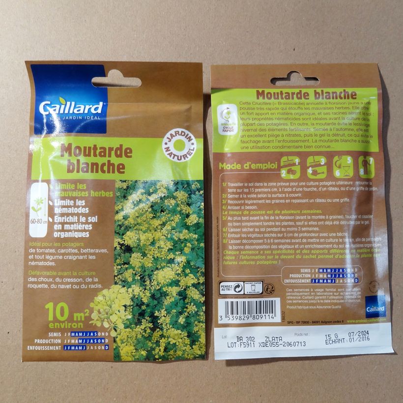 Exemple de spécimen de Moutarde blanche - Engrais vert - Boîte 10 m² tel que livré