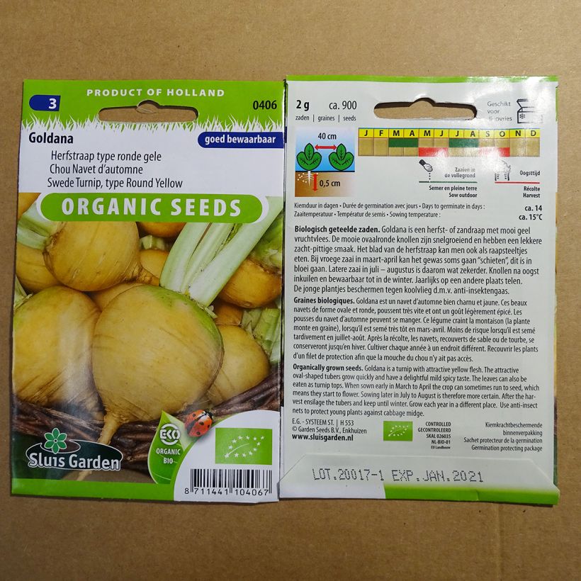 Exemple de spécimen de Navet Goldana Bio - Brassica rapa Graines tel que livré
