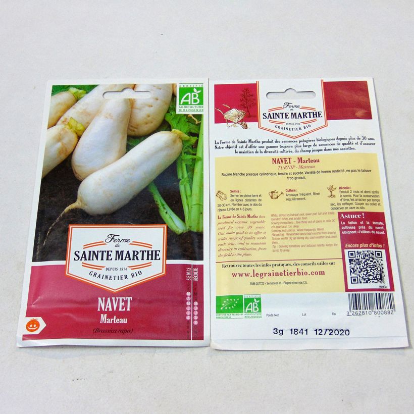 Exemple de spécimen de Navet Marteau Bio - Ferme de Sainte Marthe Graines tel que livré