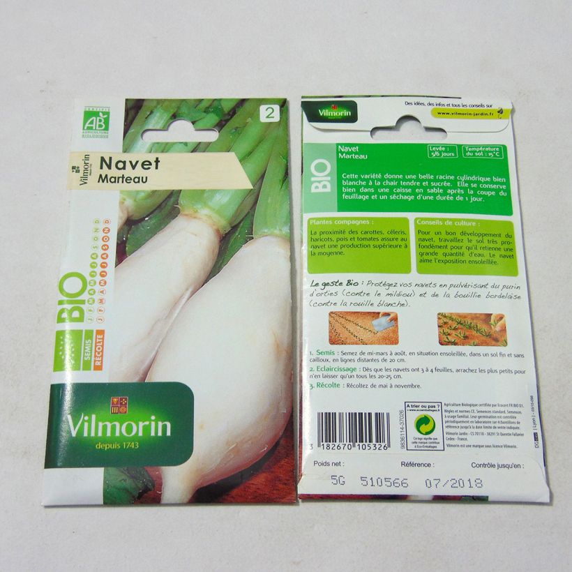 Exemple de spécimen de Navet Marteau Bio - Vilmorin  Graines tel que livré