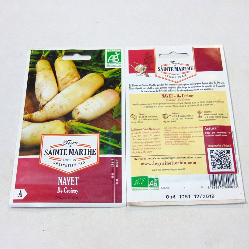 Exemple de spécimen de Navet de Croissy Bio - Ferme de Sainte Marthe Graines tel que livré