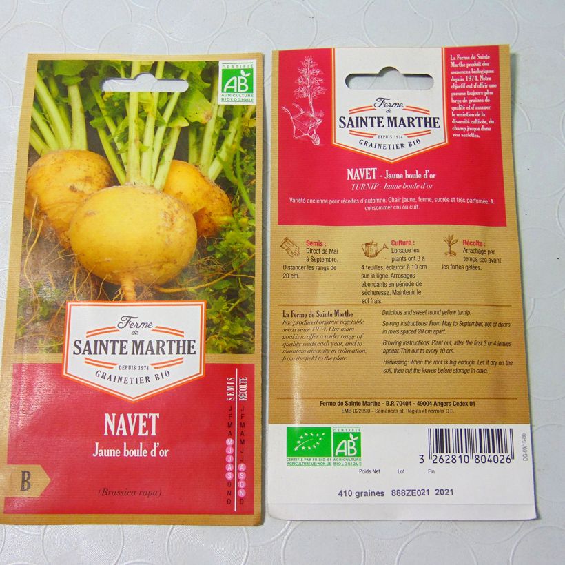 Exemple de spécimen de Navet jaune Boule d'Or Bio - Ferme de Sainte Marthe Graines tel que livré