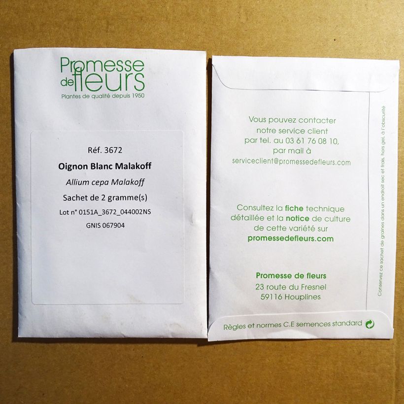 Exemple de spécimen de Oignon Blanc Malakoff - Allium cepa Graines tel que livré