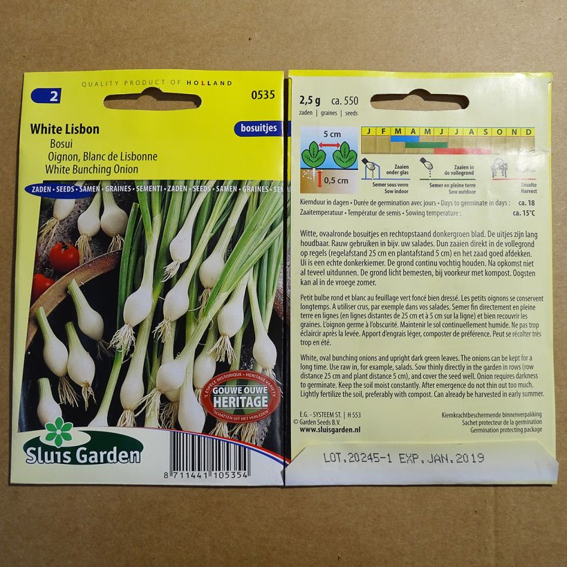 Exemple de spécimen de Oignon Blanc de Lisbonne - Allium cepa tel que livré