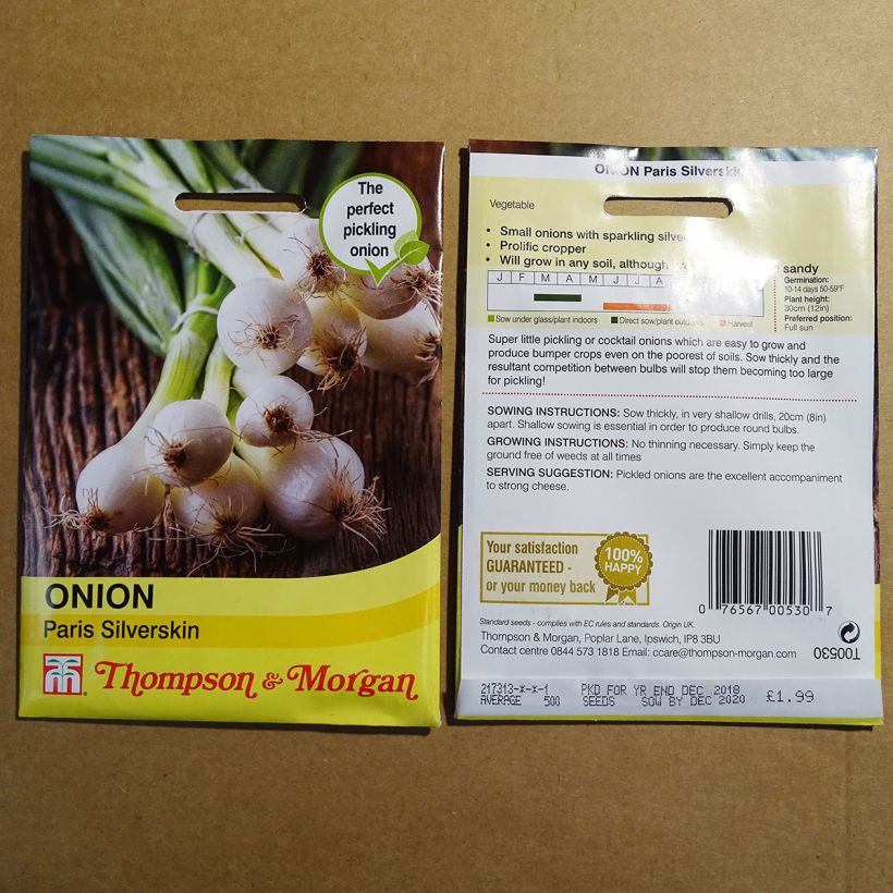 Exemple de spécimen de Oignon Blanc de Paris Silverskin - Allium cepa Graines tel que livré