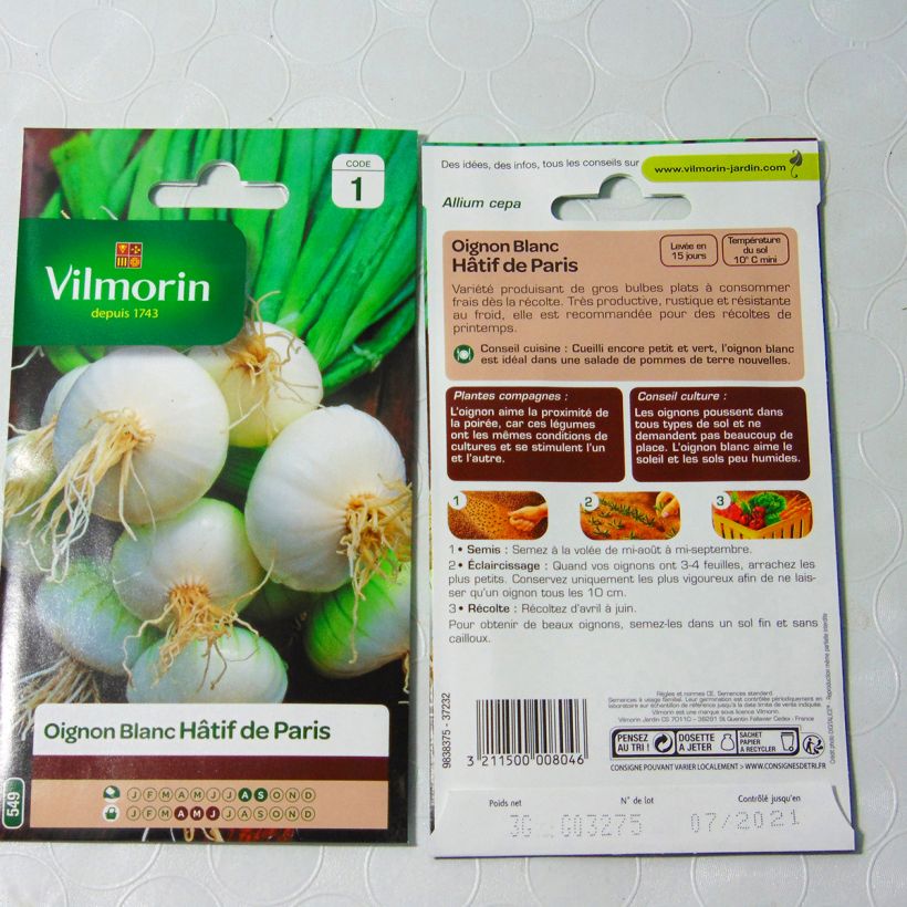 Exemple de spécimen de Oignon Blanc de Paris - Vilmorin Graines tel que livré
