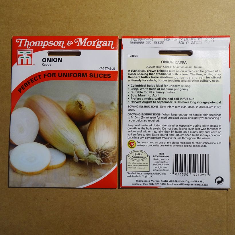 Exemple de spécimen de Oignon Kappa - Allium cepa Graines tel que livré