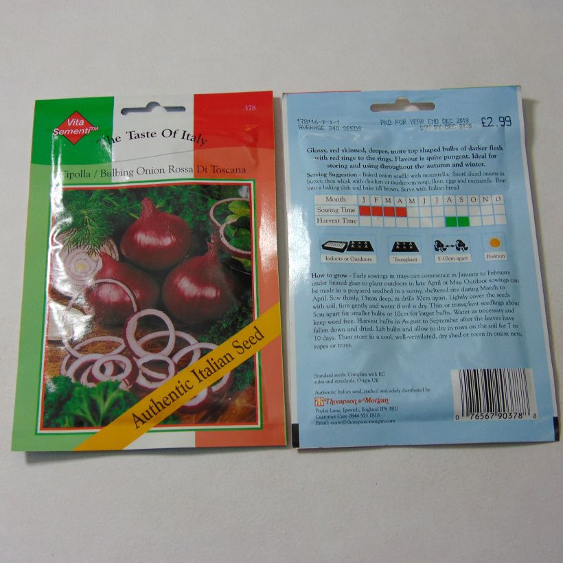 Exemple de spécimen de Oignon Rossa di Toscana (rouge de Toscane) - Allium cepa Graines tel que livré