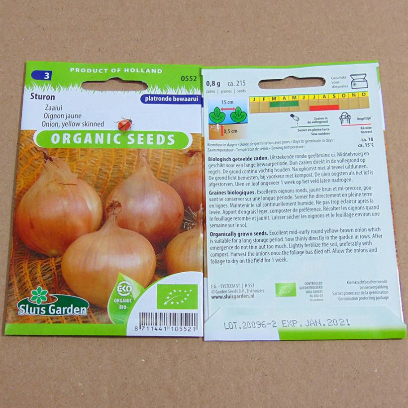 Exemple de spécimen de Oignon Sturon Bio - Allium cepa Graines tel que livré