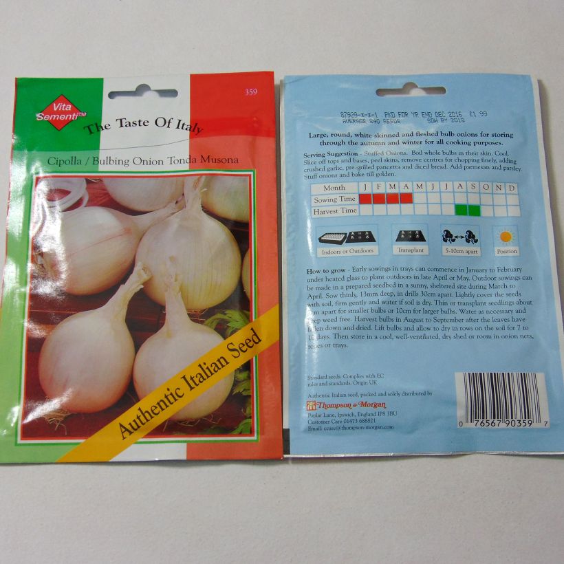 Exemple de spécimen de Oignon blanc Tonda Musona - Allium cepa Graines tel que livré