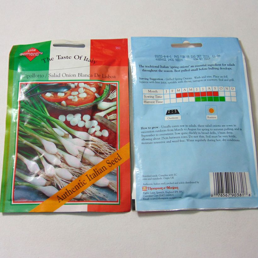 Exemple de spécimen de Oignon de printemps Cipollotto Blanca de Lisboa (blanc de Lisbonne) - Allium cepa Graines tel que livré