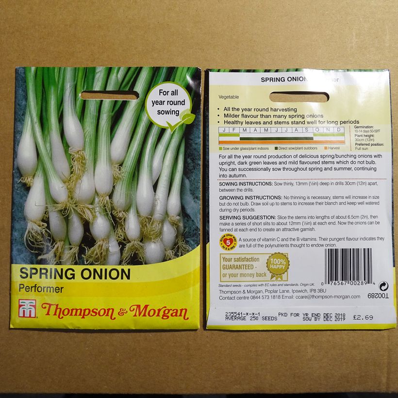 Exemple de spécimen de Oignon de printemps ciboule Performer - Allium fistulosum Graines tel que livré