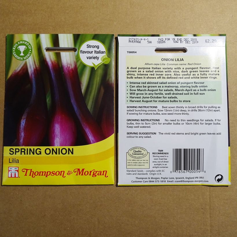 Exemple de spécimen de Oignon rouge de printemps Lilia - Allium cepa Graines tel que livré