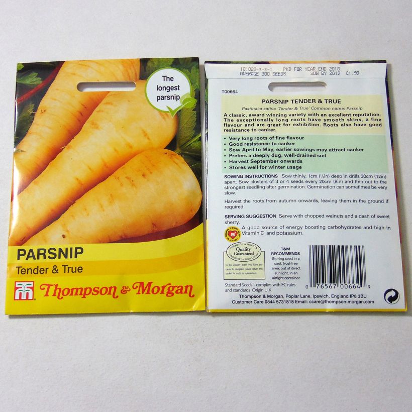 Exemple de spécimen de Panais Tender And True - Pastinaca sativa Graines tel que livré