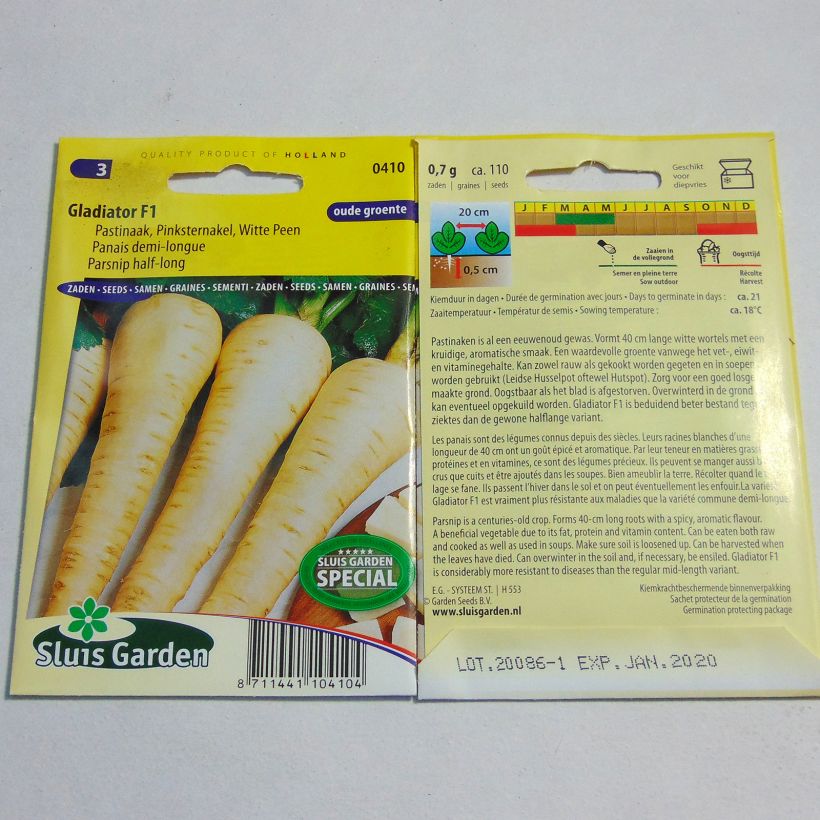 Exemple de spécimen de Panais demi-long Gladiator F1 - Pastinaca sativa - grand chervis - pastenade - patenais Graines tel que livré