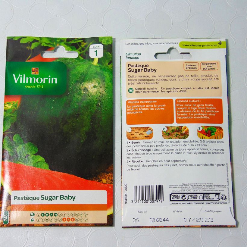 Exemple de spécimen de Pastèque Sugar Baby - Vilmorin tel que livré